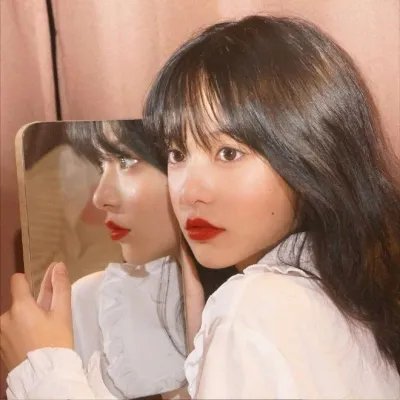 四光猪现蠢记