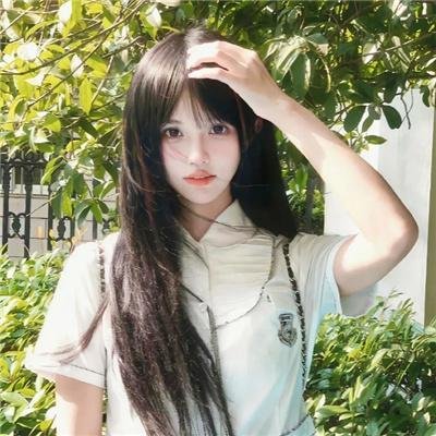 哈巴狗的回忆